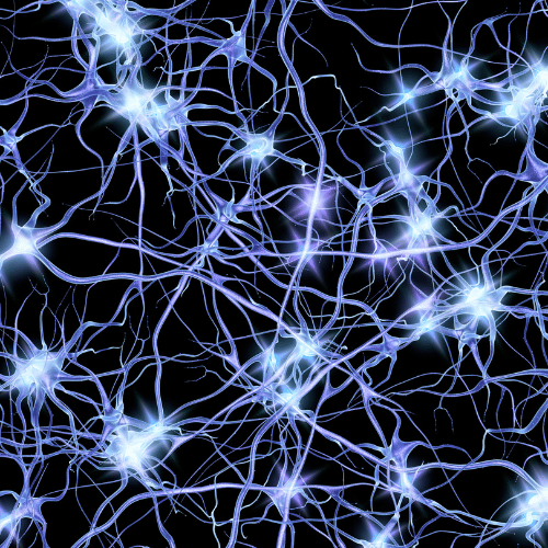 Turbocharges ATP (Cellular Energy)