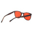 Rigel Eyeglasses 2