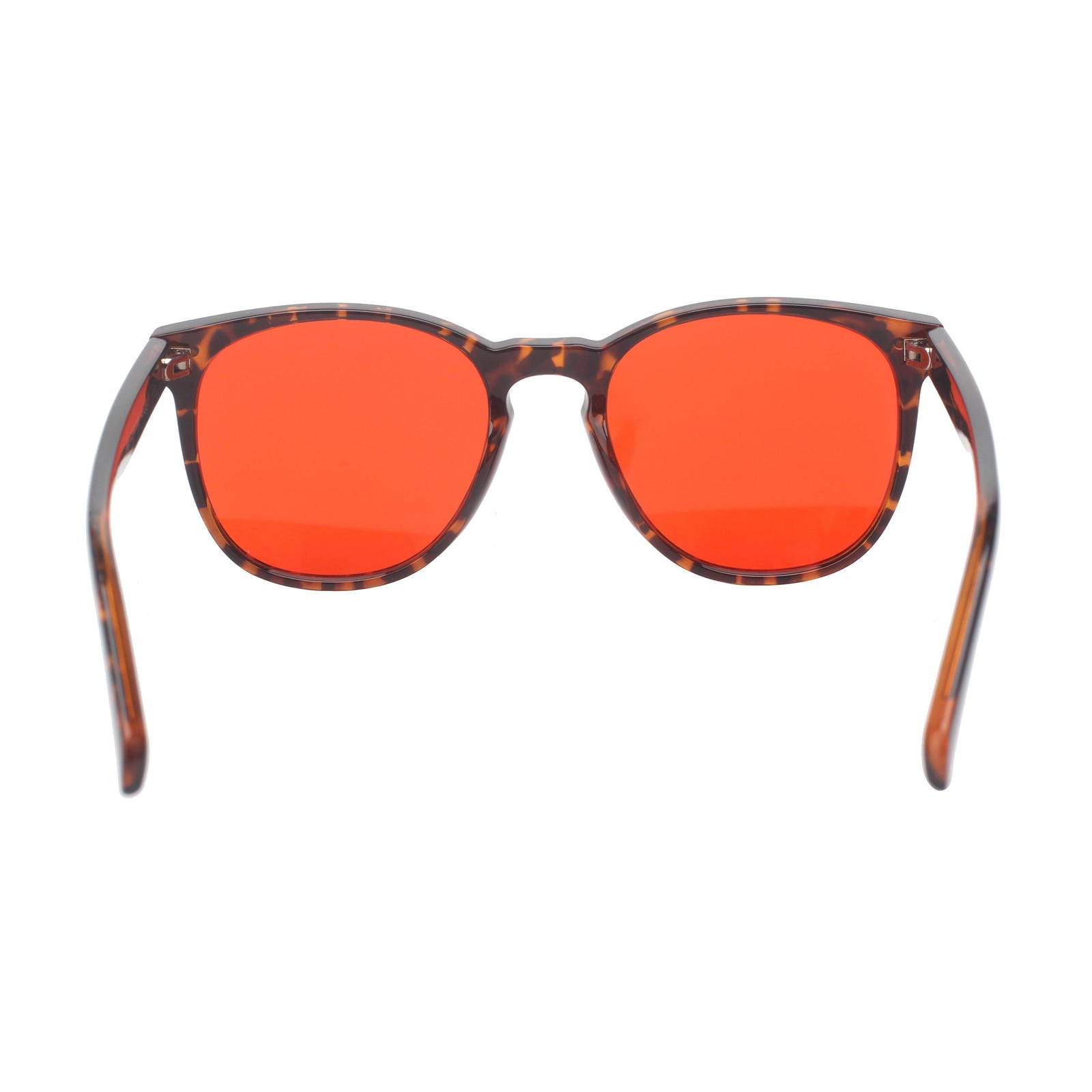 Rigel Eyeglasses 3